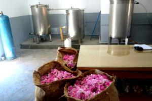 Distillation roses