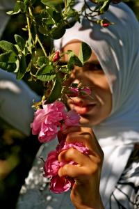 marocaine-rose